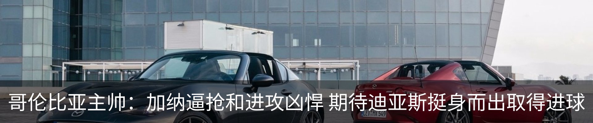 资讯动态