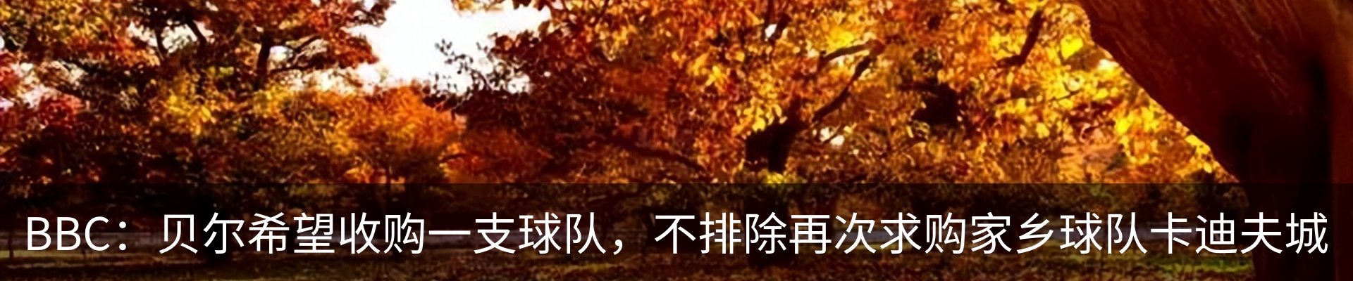 资讯动态